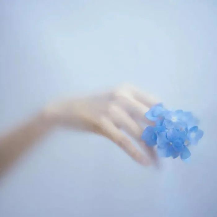 “无关爱情却让你置顶很久的文案”