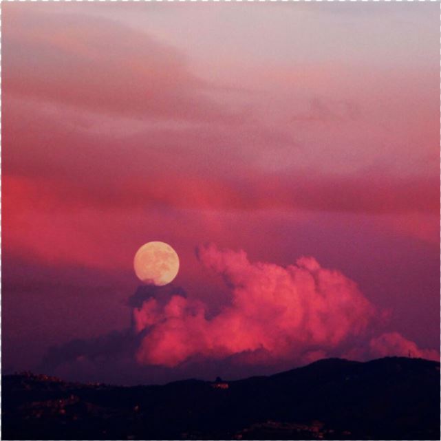 “特别特别的中考文案”