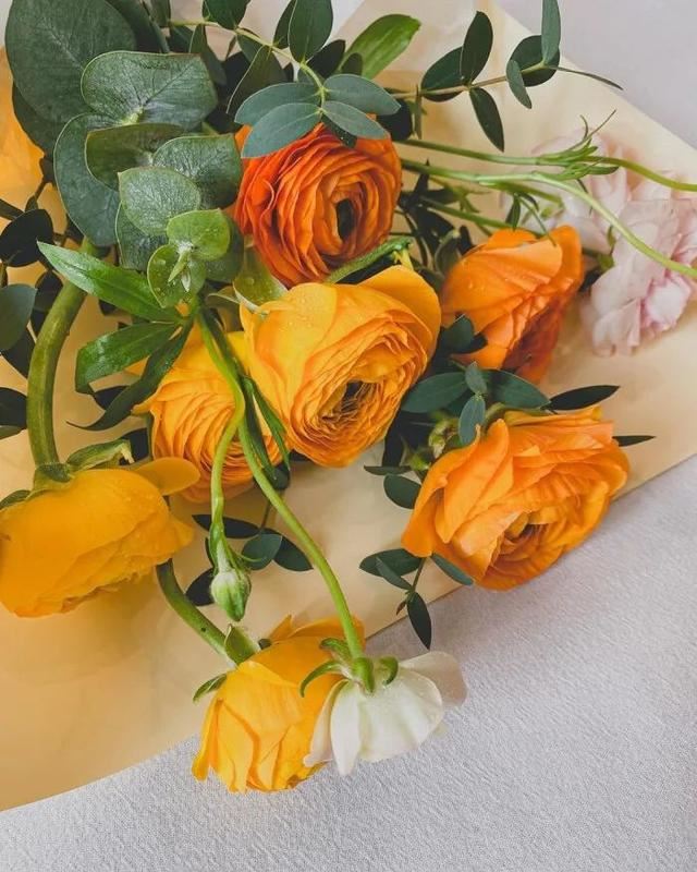 2021年最潮最流行的一句话！