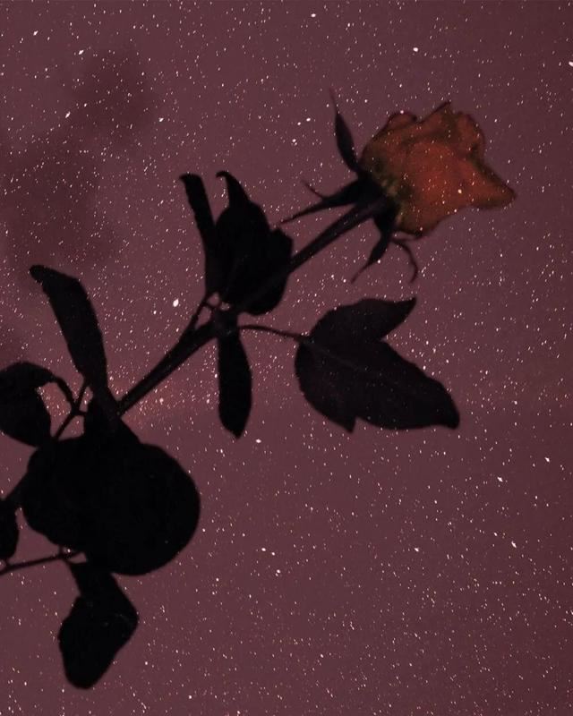 2021年最潮最流行的一句话！