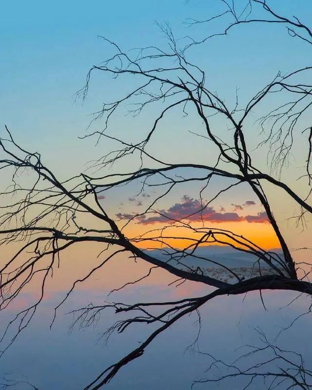 朋友圈转发收藏最多的21句话！