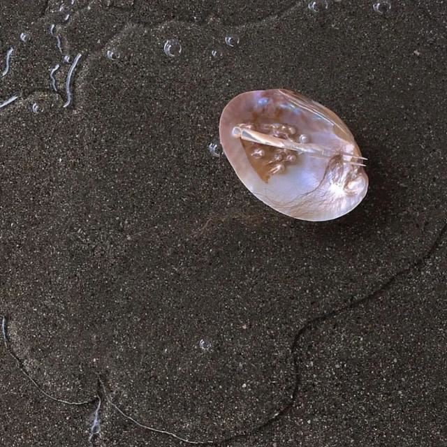 朋友圈转发收藏最多的21句话！