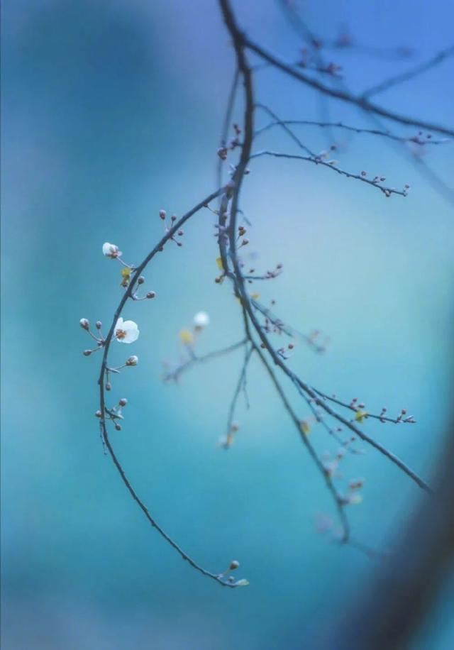 够你偷一辈子的精选句子！