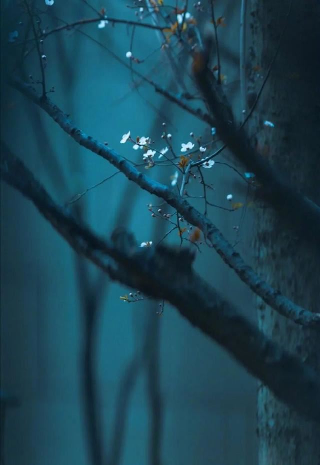 够你偷一辈子的精选句子！