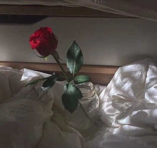 不烂大街的生日文案，生日当天这样发！