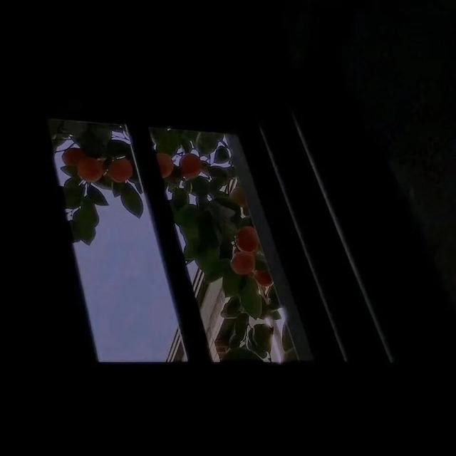 不烂大街的生日文案，生日当天这样发！