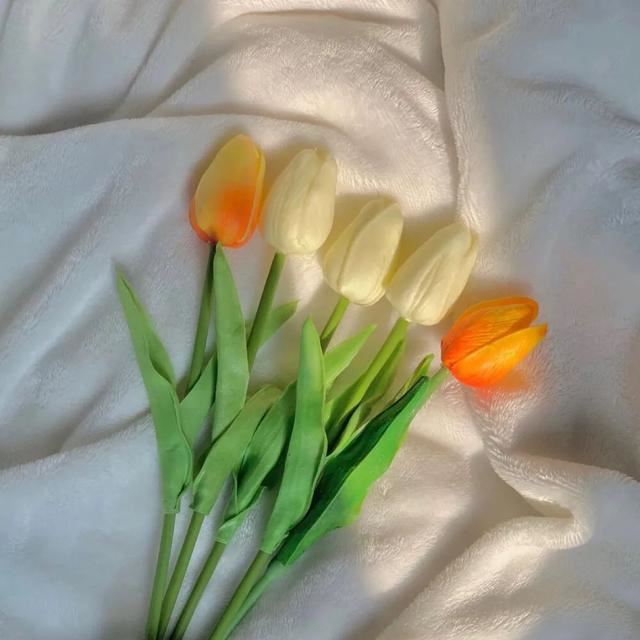 不烂大街的生日文案，生日当天这样发！