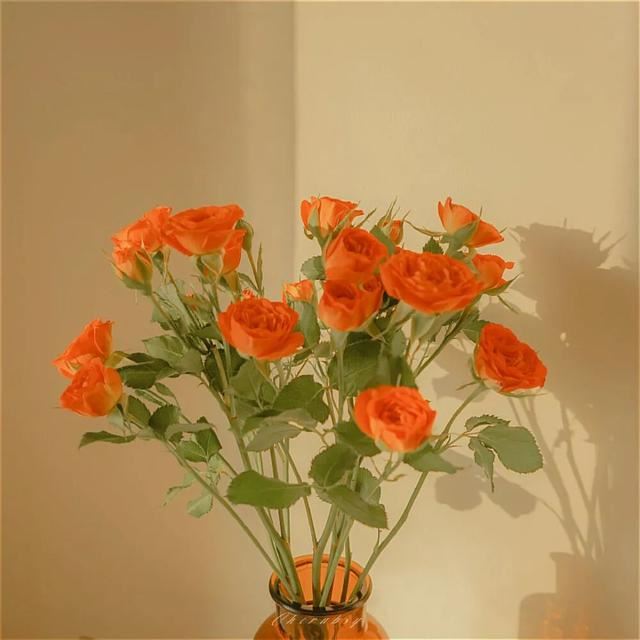 句子那么短，心却那么酸！