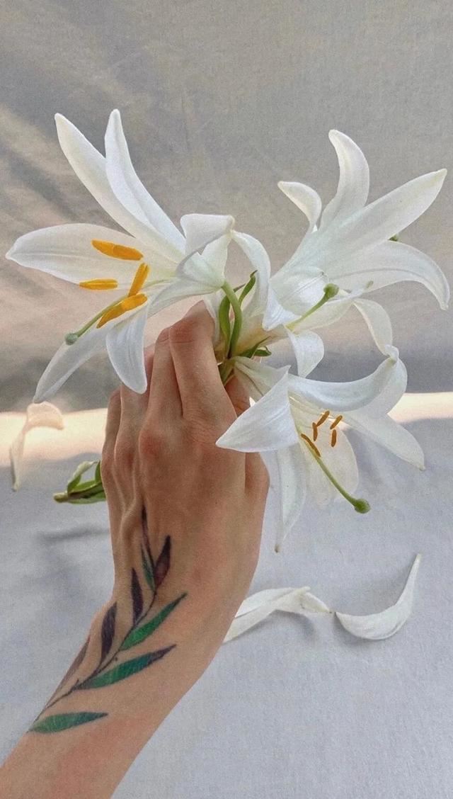 句子那么短，心却那么酸！