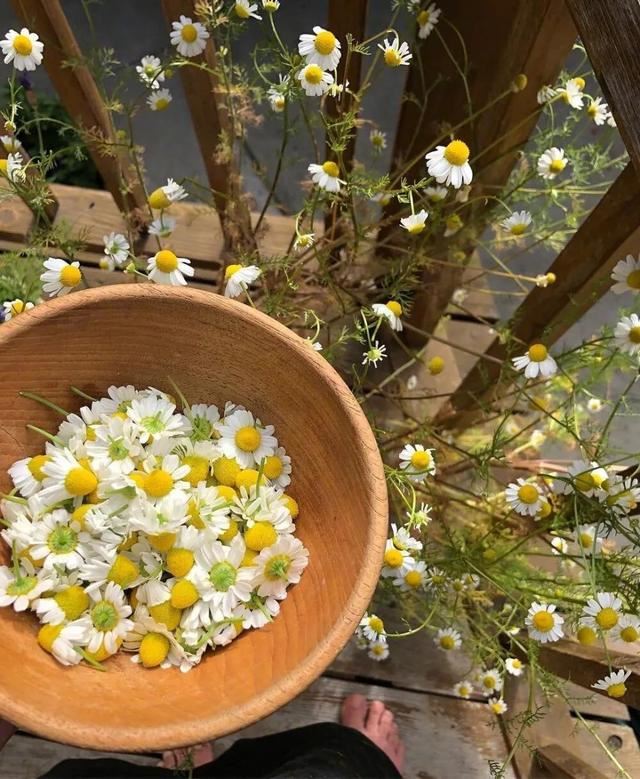 句子那么短，心却那么酸！