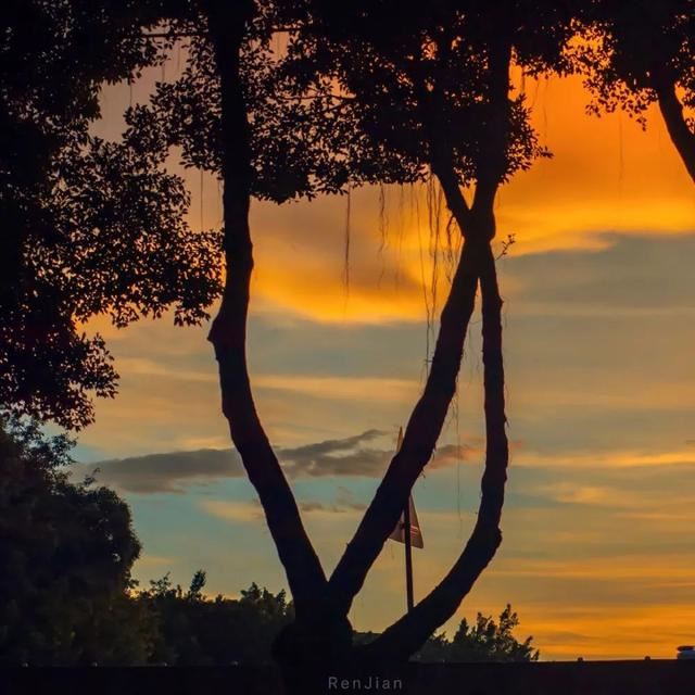 适合心情低落时发的句子！