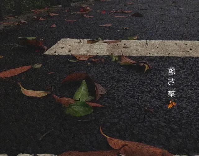 29条舍不得换的微信置顶文案：多一种世界观，就多一条呼吸的路