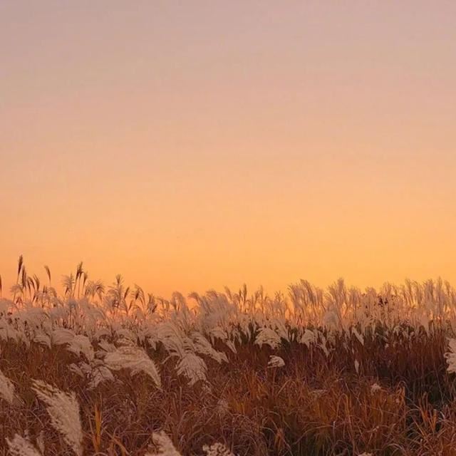 20句发朋友圈心情签名句子！