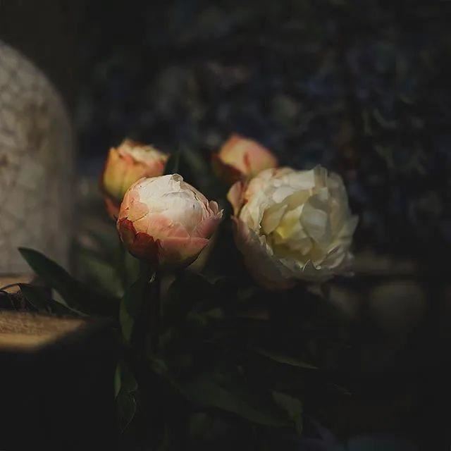 适合任何情绪发的说说，适合各种心情的句子！