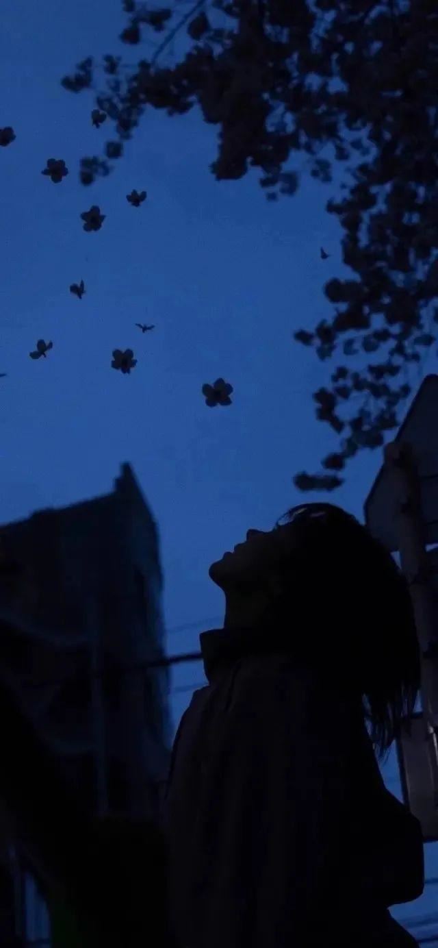 12月发圈被秒赞的句子！