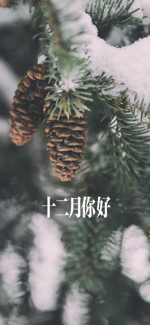 朋友圈12月1日文案这样发！