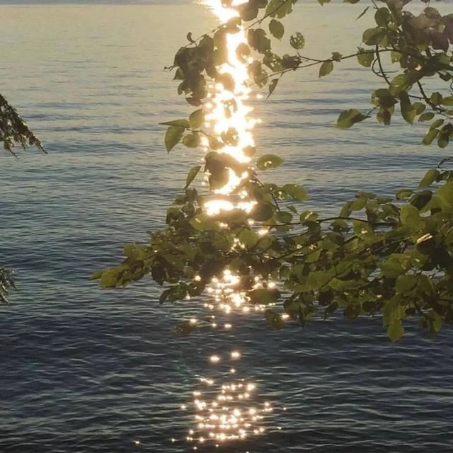 收集朋友圈有趣的简介短句！