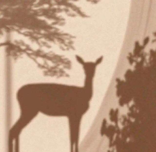 收集朋友圈有趣的简介短句！