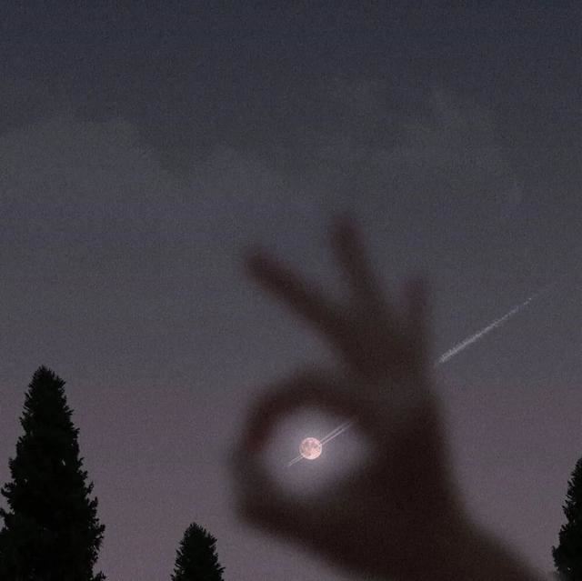 憨憨女孩都在复制的沙雕说说！