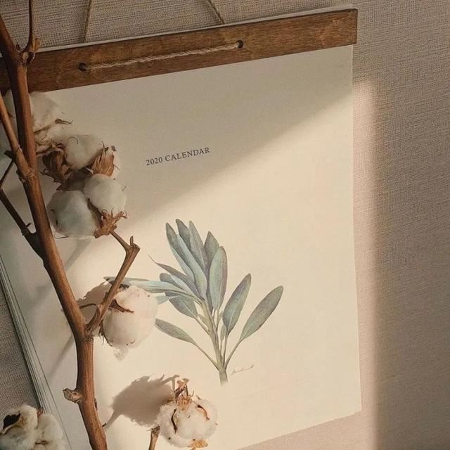 收集你在抖音上看见的最好文案！