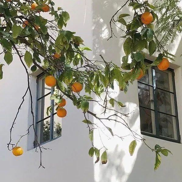 收集你在抖音上看见的最好文案！