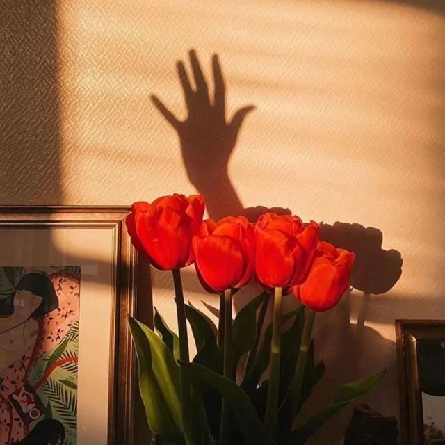 收集你在抖音上看见的最好文案！