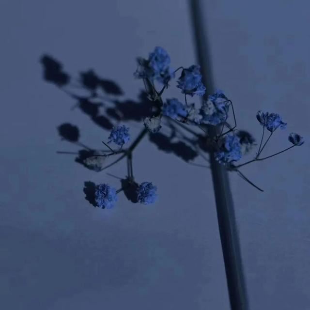 各种心情发朋友圈的句子！