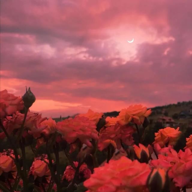 会用很久很久的朋友圈文案！