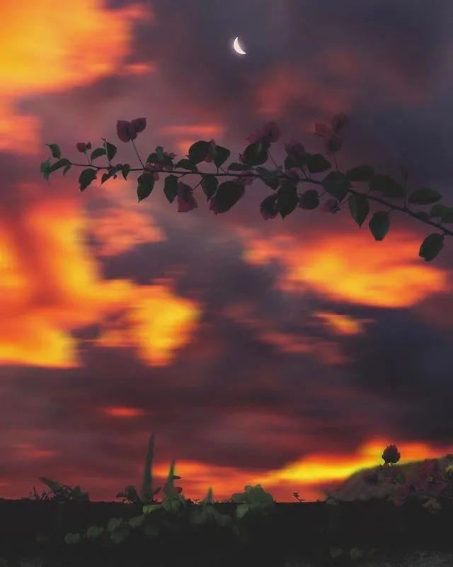 会用很久很久的朋友圈文案！