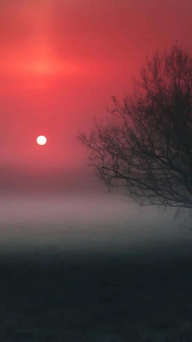 11月发圈被秒赞的句子！