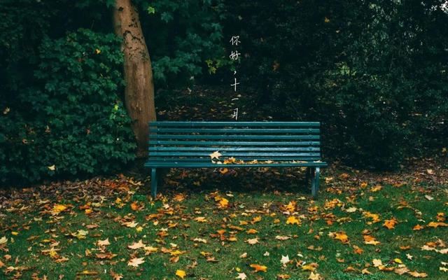 朋友圈11月1日文案这样发！