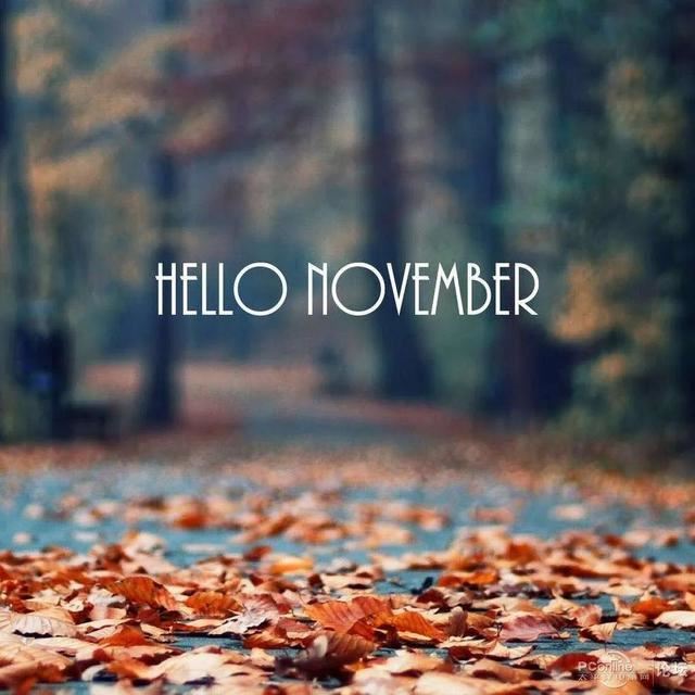 朋友圈11月1日文案这样发！