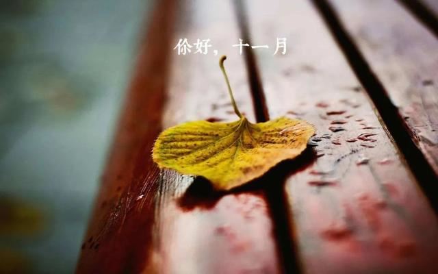 朋友圈11月1日文案这样发！