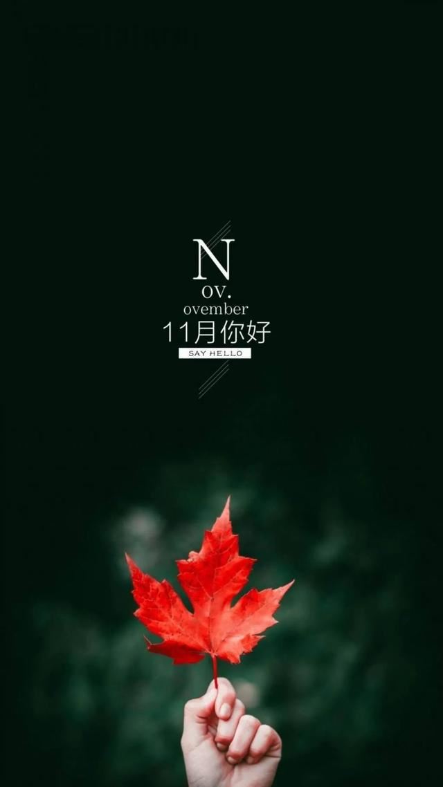 朋友圈11月1日文案这样发！