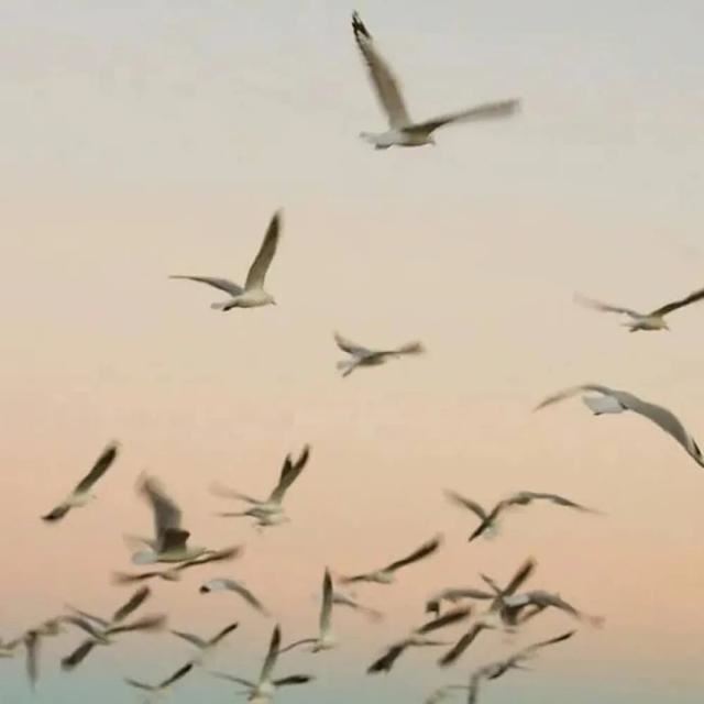 百看不厌的朋友圈文案！