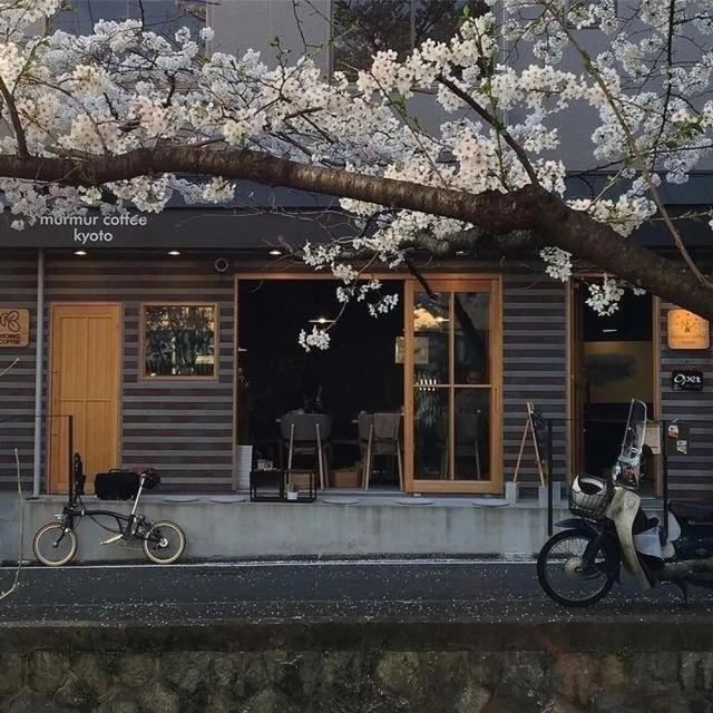 百看不厌的朋友圈文案！