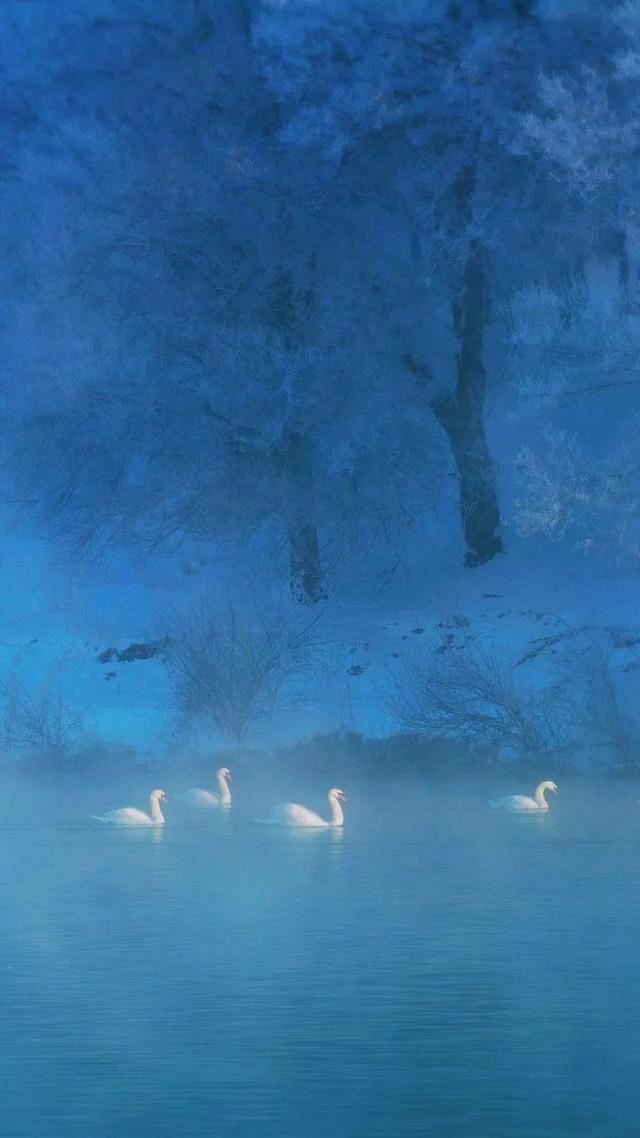 发朋友圈首选的句子！