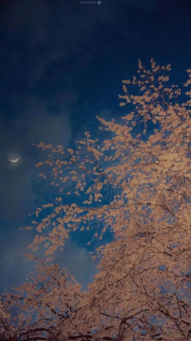 发朋友圈首选的句子！