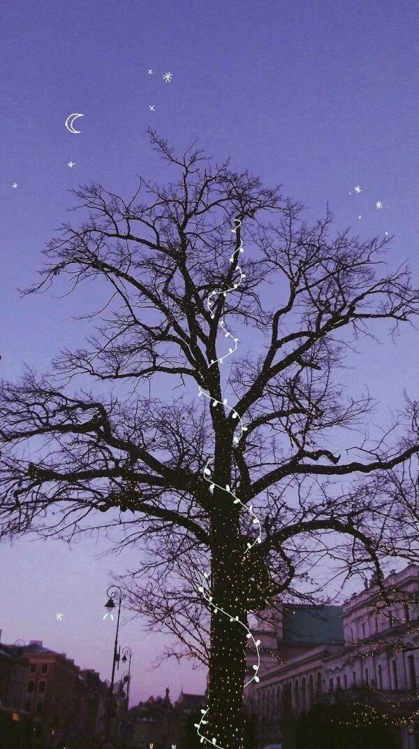 适合深夜发的动态句，夜晚很丧的文案！