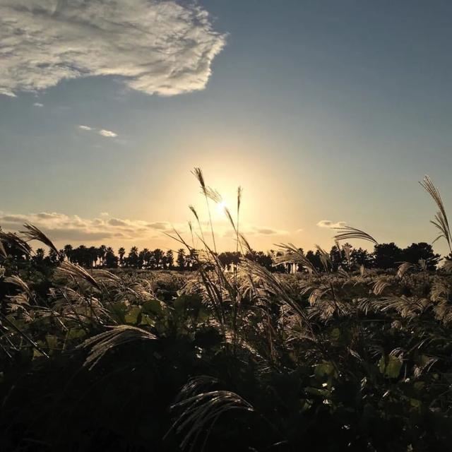 让朋友圈疯狂点赞的句子！