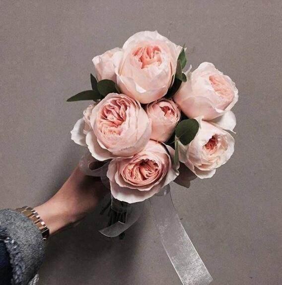 欢庆五四青年节励志问候语,经典温馨,情意满满!