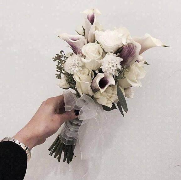 欢庆五四青年节励志问候语,经典温馨,情意满满!