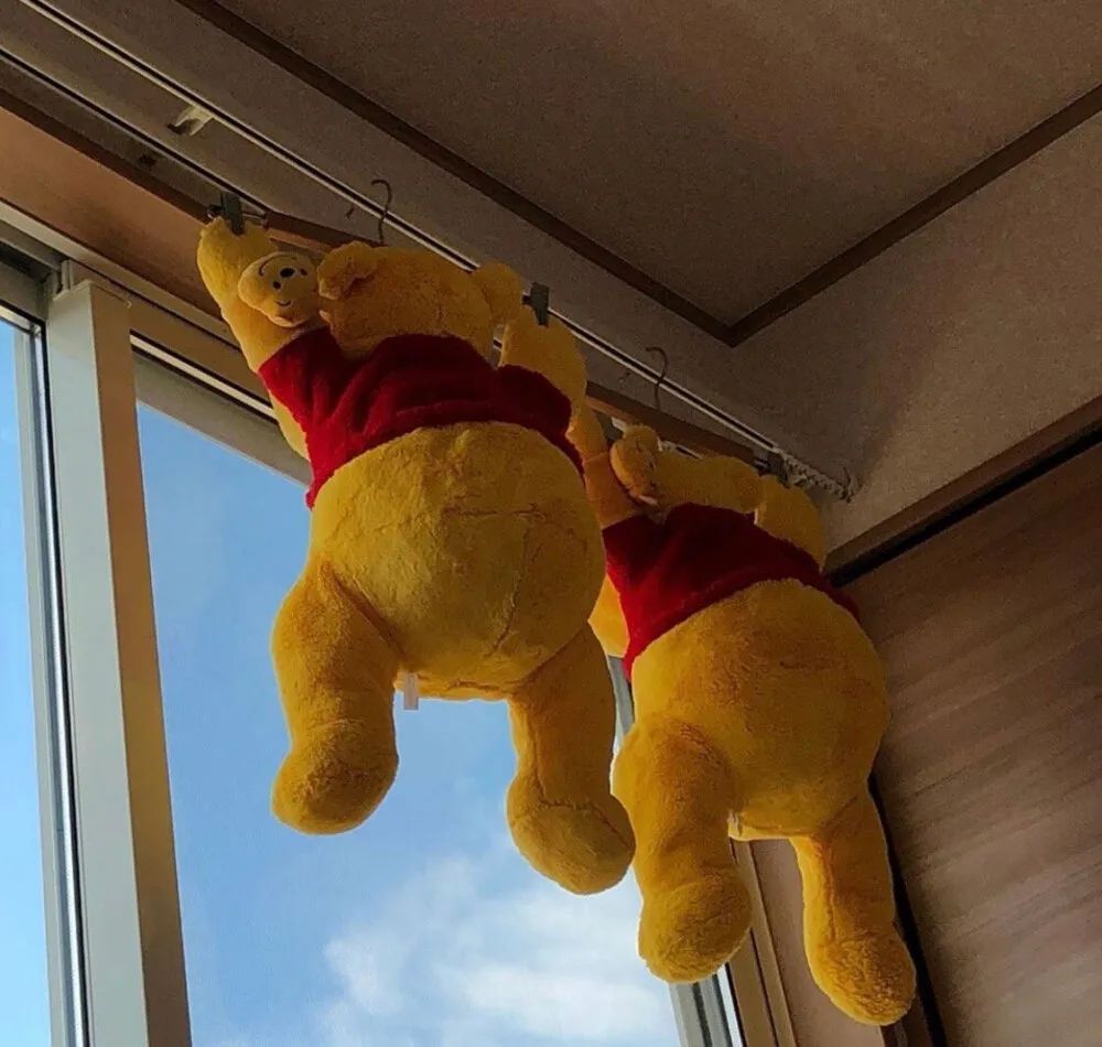 31句叫醒不想努力的你