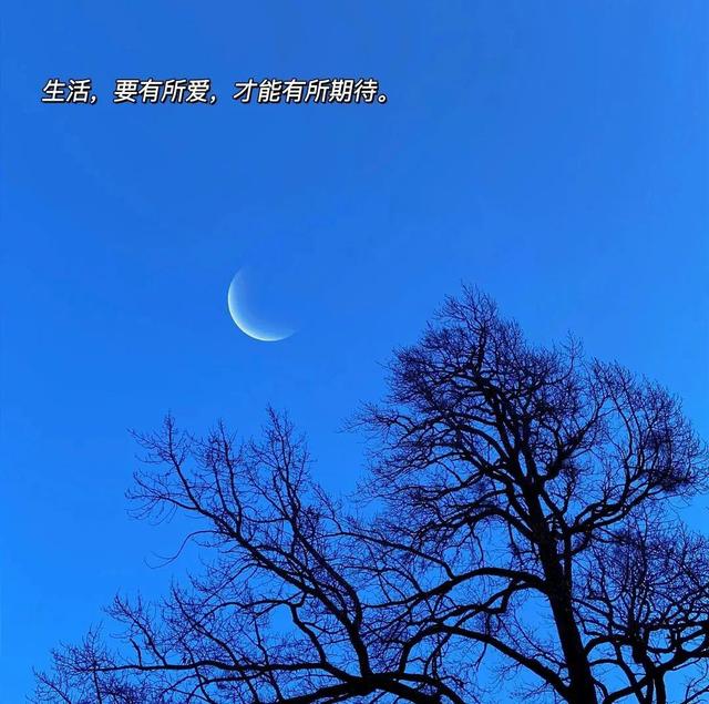 愿你开头的108个文艺句子