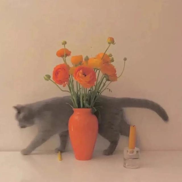 关于安慰的治愈文案