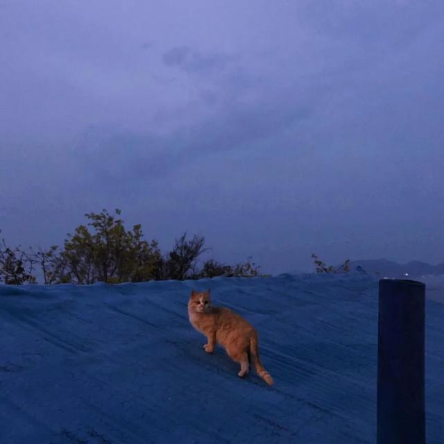 精选100条「八字短句」