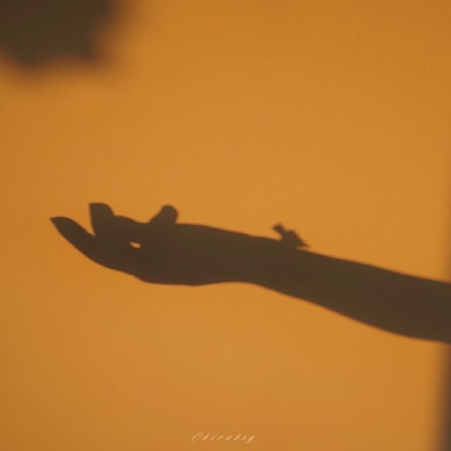 东野圭吾作品经典语录合集