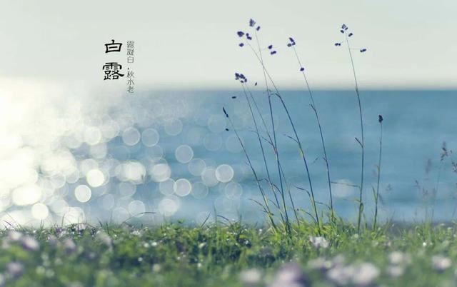 白露节气祝福语，适合白露发朋友圈的句子！