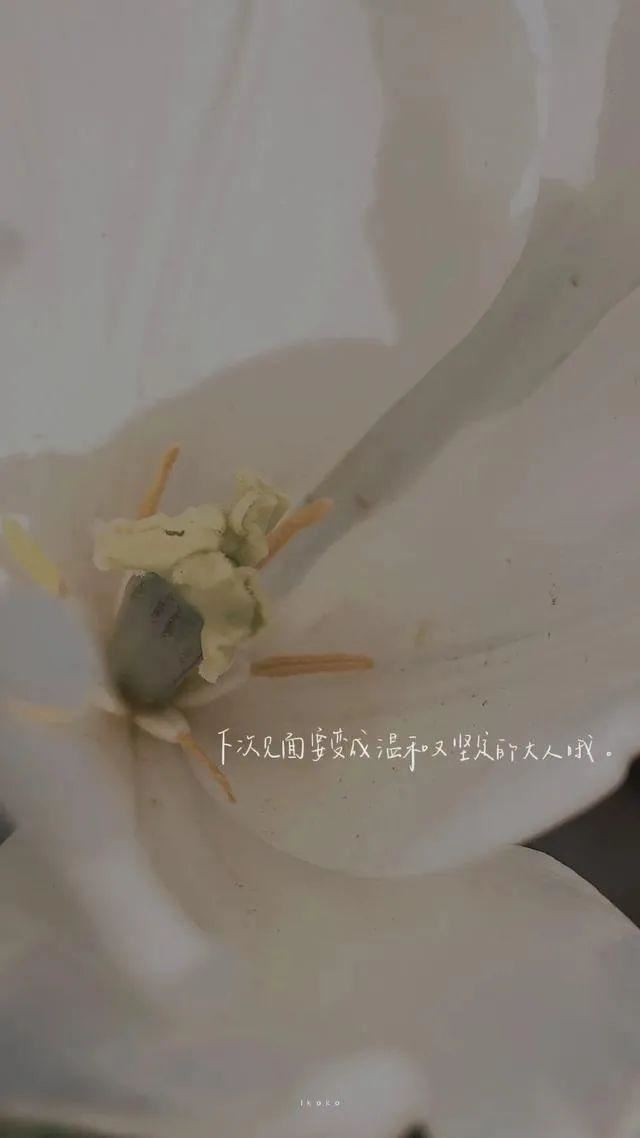 让人一看就赞的晚安说说！