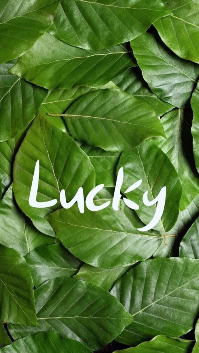 笑不起来的签名小句子！